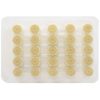 Plastic Cap  25tray  40 traycs - 8881682119